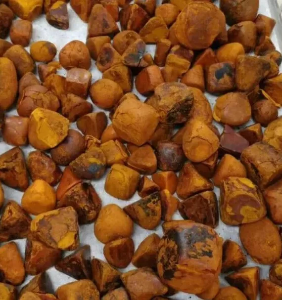 Buy Ox Cow Gallstones