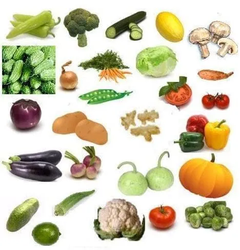 FRESH VEGETABLES 100% ORGANIC