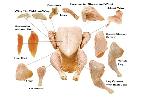 HALAL FROZEN CHICKEN PARTS
