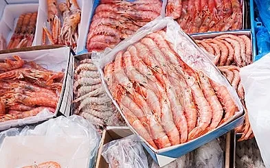 FROZEN SEAFOOD