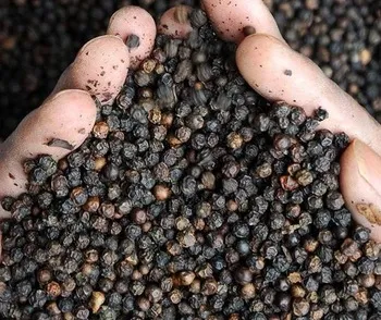 WHOLE BLACK PEPPER