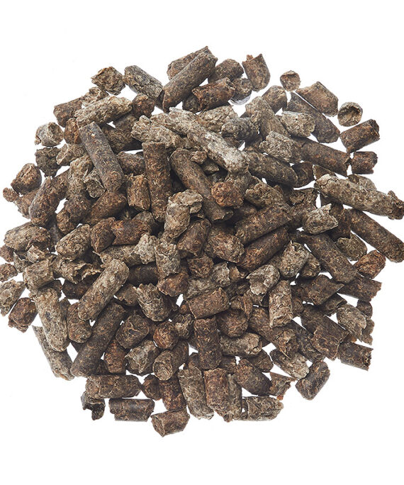 BEET PULP PELLETS ANIMAL FEED WHOLESALE