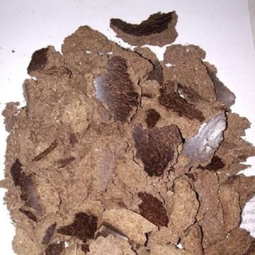 PALM KERNEL CAKE